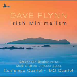 Dave Flynn: Irish Minimalism