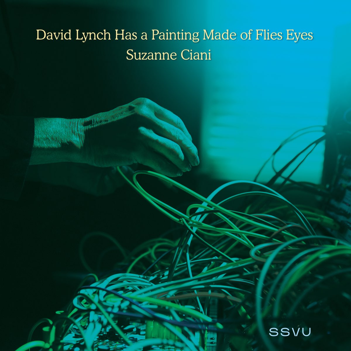 David Lynch Has A Painting Made Of Flies Eyes / Suzanne Ciani