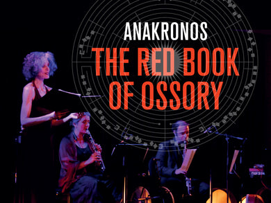 The Red Book Of Ossory