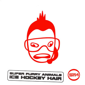Ice Hockey Hair