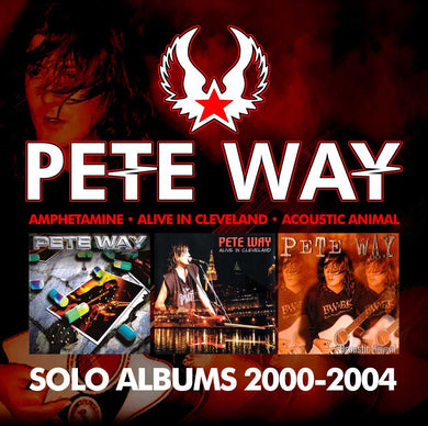 Solo Albums: 2000-2004