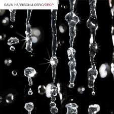 Gavin Harrison & O5Ric - Drop