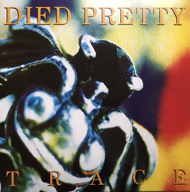 Died Pretty - Trace