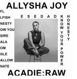 Allysha Joy - Acadie : Raw