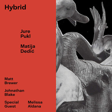 Jure Pukl / Matija Dedic - Hybrid