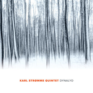 Karl Strømme Quintet - Dynalyd