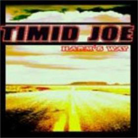 Timid Joe - Harm's Way