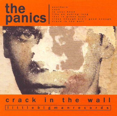 The Panics - Crack In The Wall