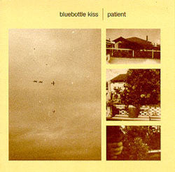 Bluebottle Kiss - Patient