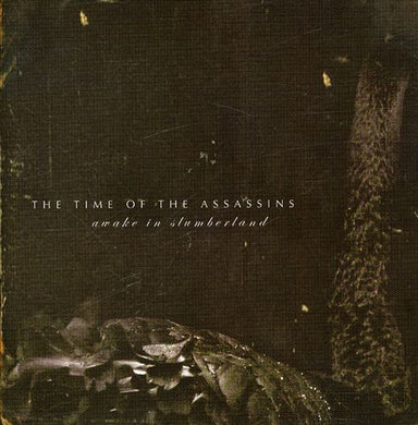 The Time Of The Assassins - Awake In Slumberland