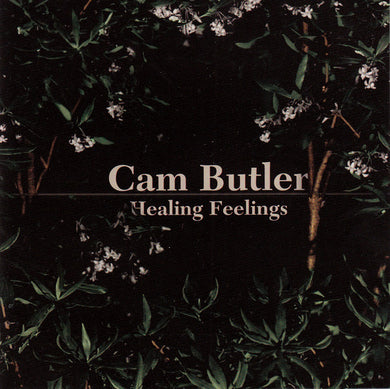 Cam Butler - Healing Feelings