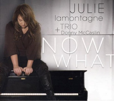 Julie Lamontagne Trio - Now What