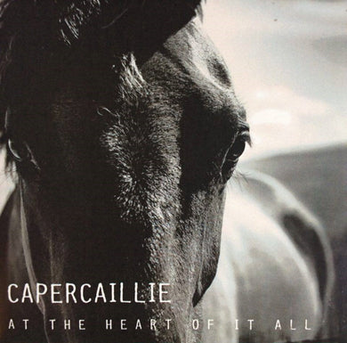 Capercaillie - At The Heart Of It All