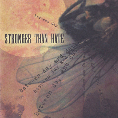 Stronger Than Hate - Between Day And Darkness