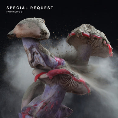 Special Request - Fabriclive 91
