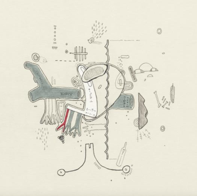 Tiny Changes - A Celebration Of Frightened Rabbit's 'The Midnight Organ Fight'