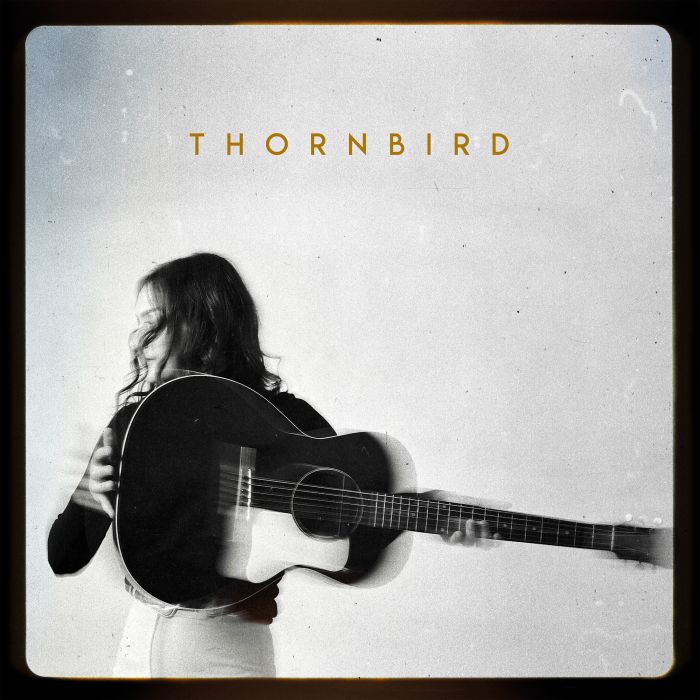 Thornbird