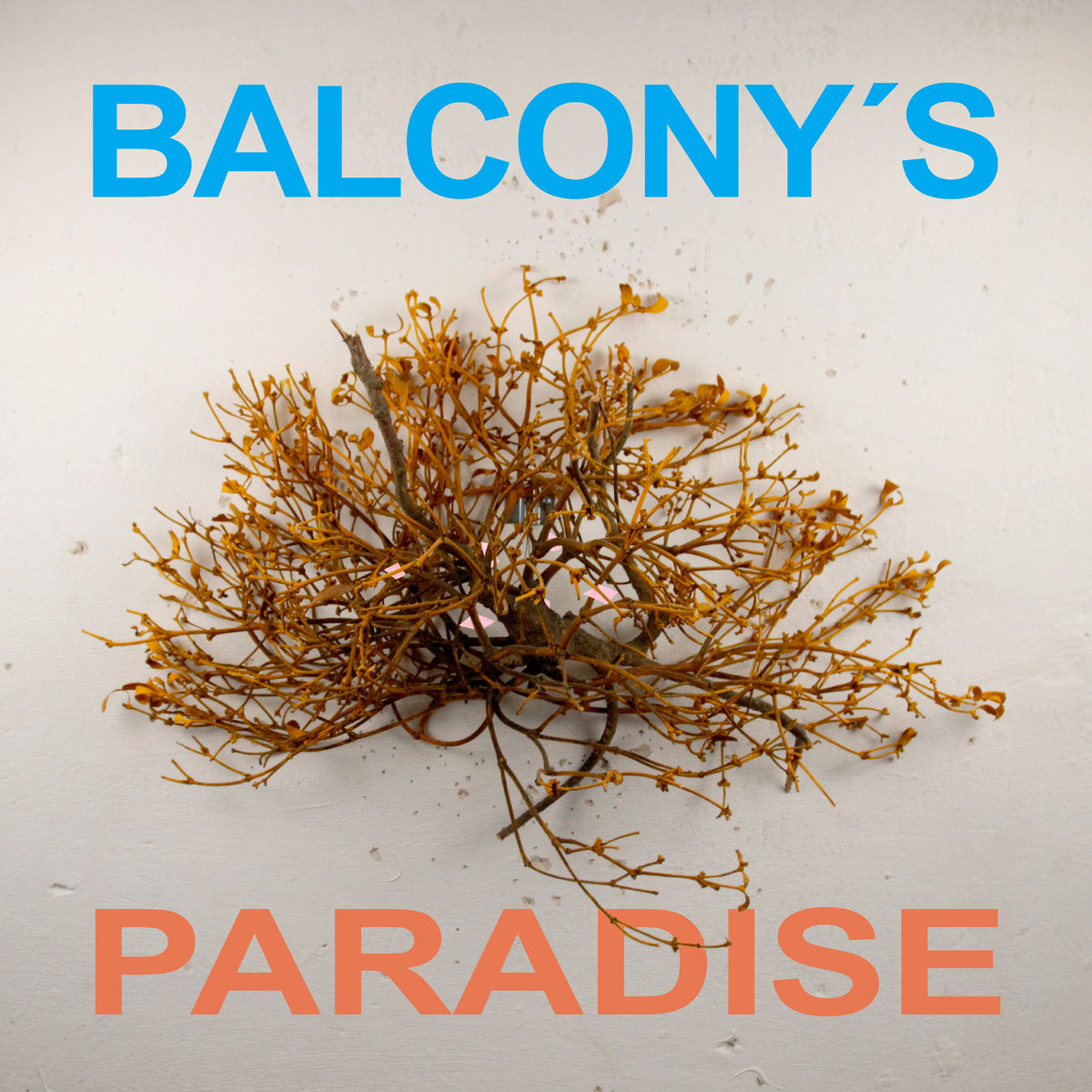 Balcony's Paradise