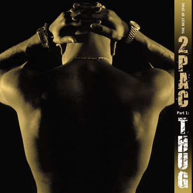 Best Of 2Pac - Pt 1: Thug