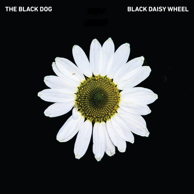 Black Daisy Wheel